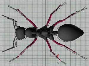 蚂蚁实例——深入了解3DMAX建模技术（上）34