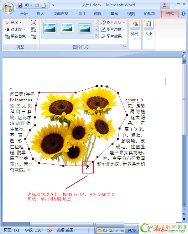 Word2007中如何让文字紧挨图片7