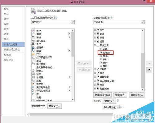 word菜单栏开发工具和加载项怎么自定义?6
