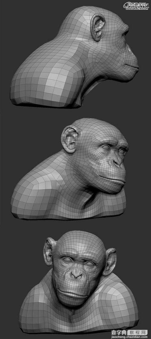 3Ds Max制作逼真的黑猩猩的雕刻模型教程2