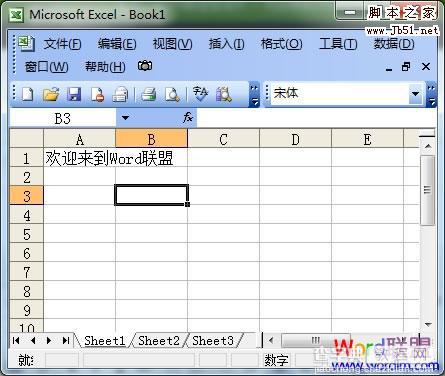 Excel表格怎么设置自动换行1