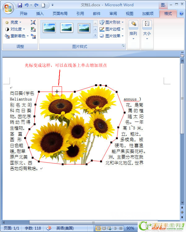 Word2007中如何让文字紧挨图片6