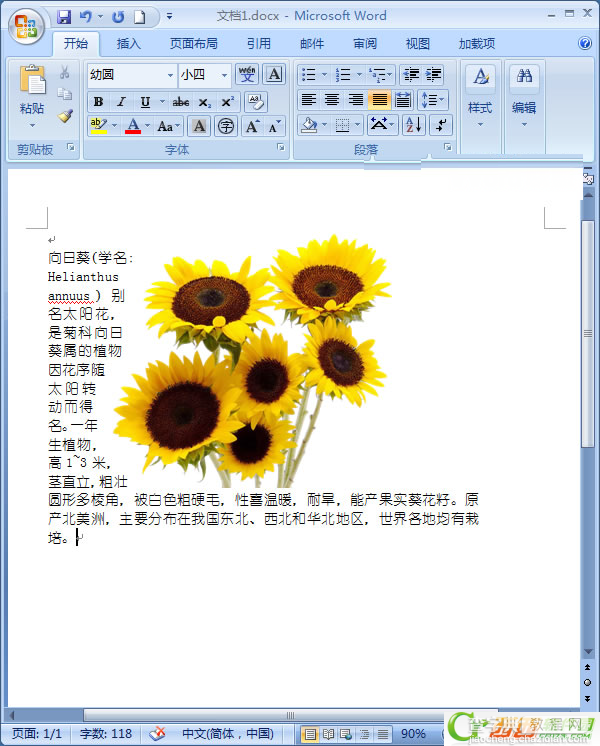 Word2007中如何让文字紧挨图片10