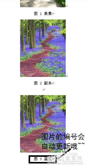 word2013给图片进行自动编号方法介绍7
