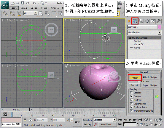 3dmax 2011 高级建模方式NURBS15