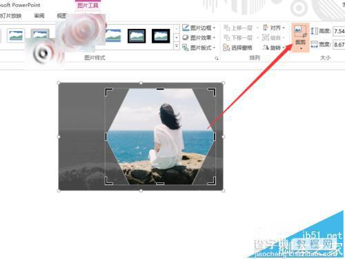 PPT怎么剪切图片?PPT将㲏裁剪成指定形状的教程7