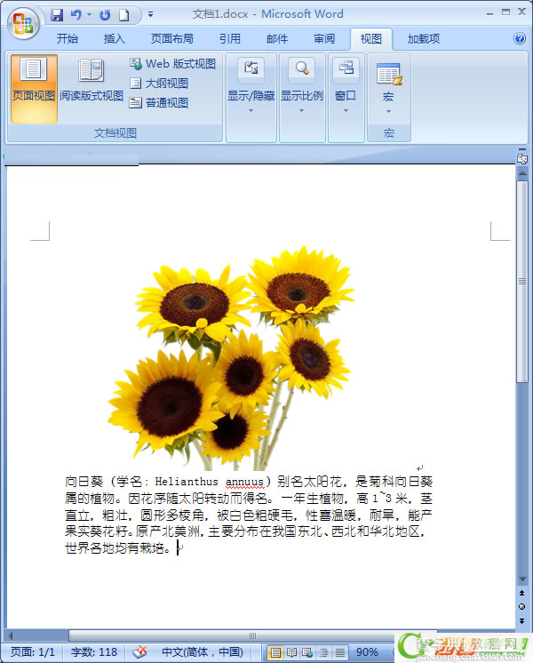 Word2007中如何让文字紧挨图片1