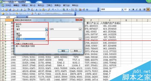 Excel表格中对指定的数据进行筛选的详细教程5