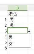 excel怎么制作下拉菜单列表?6