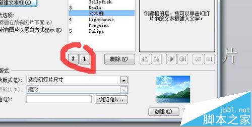 PPT2010怎么批量导入照片? PPT批量导入的方法8