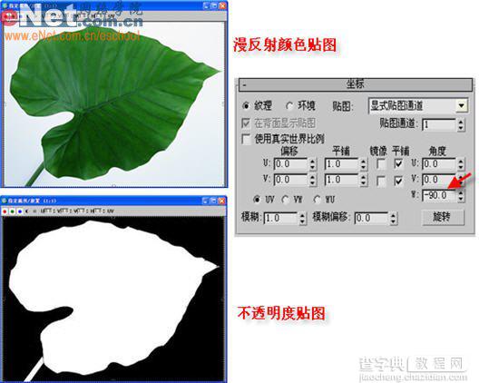3damx教程：庭院中美丽清新紫色牵牛花14