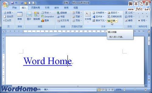 如何在Word2007文档中插入文件对象1