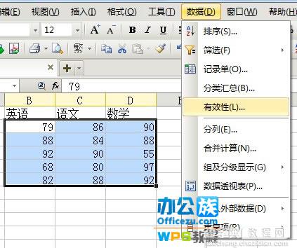 WPS表格输入错误提示设置，确保数据准确性1