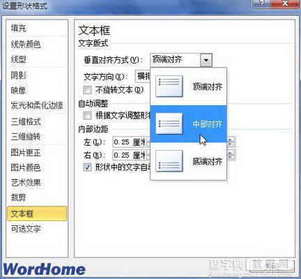 在Word 2010文档如何设置文本框边距和垂直对齐方式2