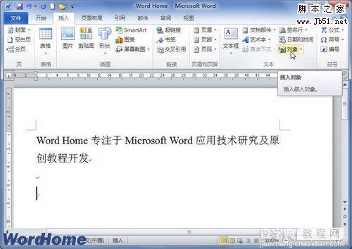 在Word2010文档中插入文件对象的图文教程1