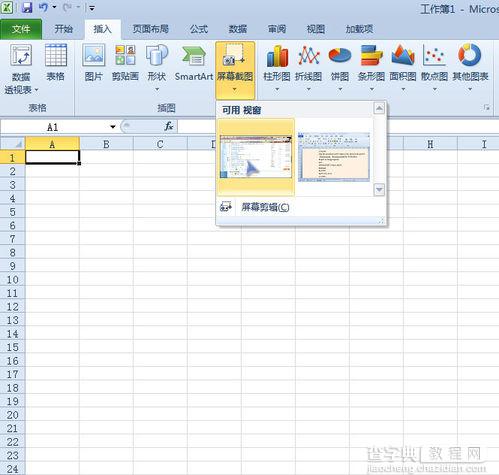 Excel 2010屏幕截图工具操作和使用步骤1
