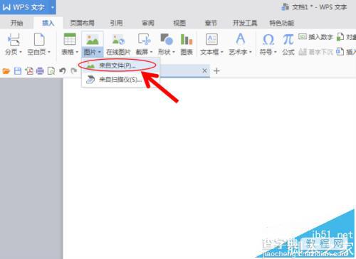 WPS文档中怎么将图片与自己绘制的图形组合?4
