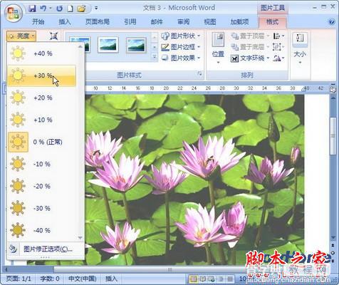 在Word2007中如何设置图片亮度1