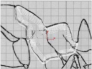 蚂蚁实例——深入了解3DMAX建模技术（上）9