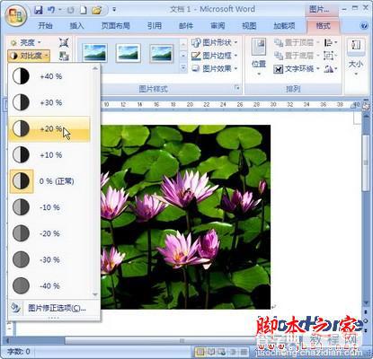 在Word2007中设置图片对比度的技巧介绍1