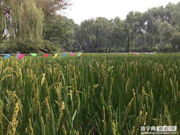 一加2和iphone6相比哪个好？一加手机2对比iphone6图文详细介绍20