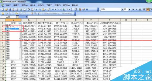 Excel表格中对指定的数据进行筛选的详细教程4