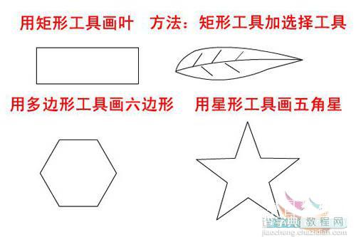 Flash新手鼠绘教程(2):熟悉鼠绘工具5