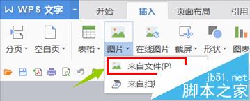 wps文字怎么打印背景? wps文字背景打印的教程2