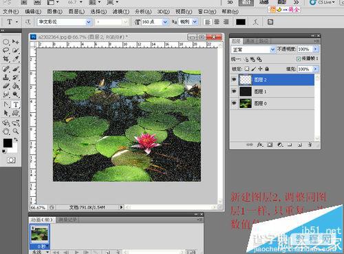 PS CS3中怎么给睡莲制作下雨gif动画效果?6