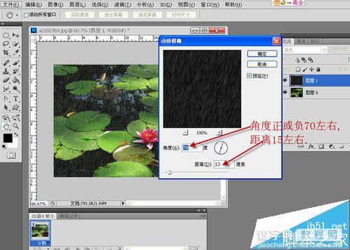 PS CS3中怎么给睡莲制作下雨gif动画效果?5