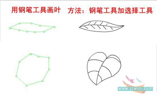 Flash新手鼠绘教程-熟悉鼠绘工具4