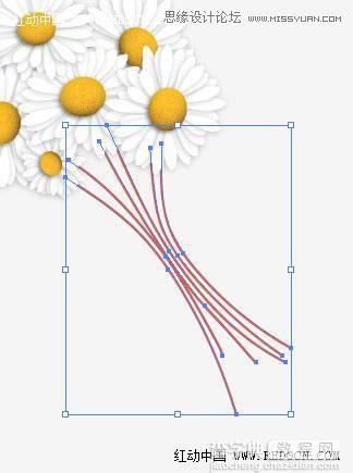 Illustrator绘制漂亮清新的白色雏菊效果图21