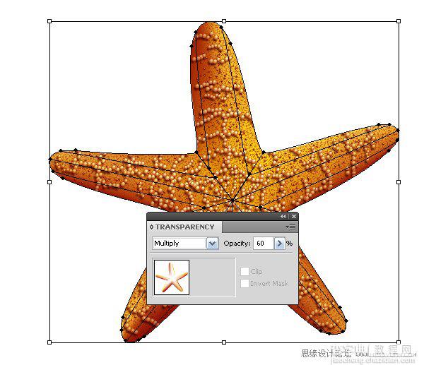 Illustrator鼠绘教程：绘制真实立体的海星55