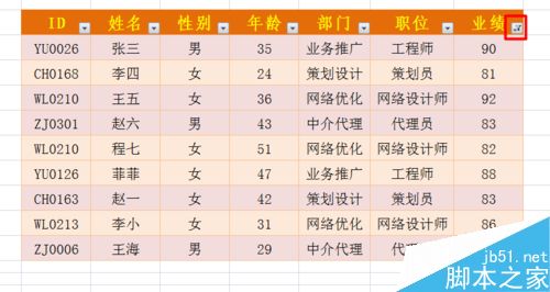 excel筛选功能怎么用呢?excel筛选使用方法8