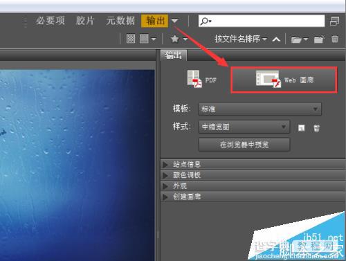 Photoshop中怎么使用Bridge插件处理图片?12