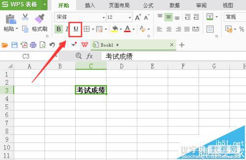 WPS表格中的文字怎么加粗并添加下划线?6