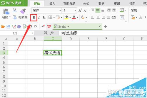 WPS表格中的文字怎么加粗并添加下划线?4