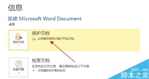 word2013文档如何进行加密呢?6