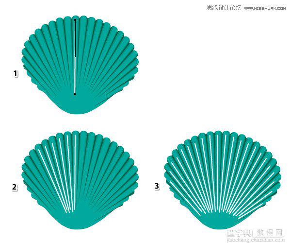 Illustrator绘制逼真漂亮的时尚彩色贝壳22
