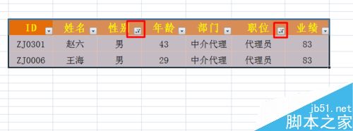 excel筛选功能怎么用呢?excel筛选使用方法5