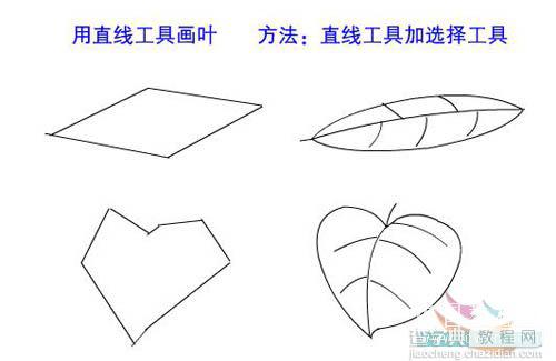 Flash新手鼠绘教程(2):熟悉鼠绘工具1