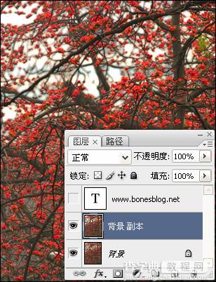 Photoshop实例教程：大树红花照片处理7