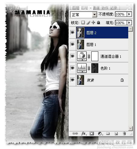 Photoshop制作灰色主题的照片效果10