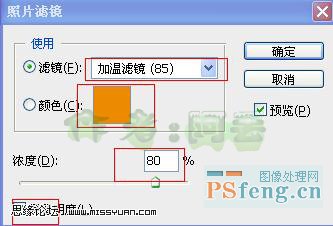 Photoshop调色：古典颓废特效10