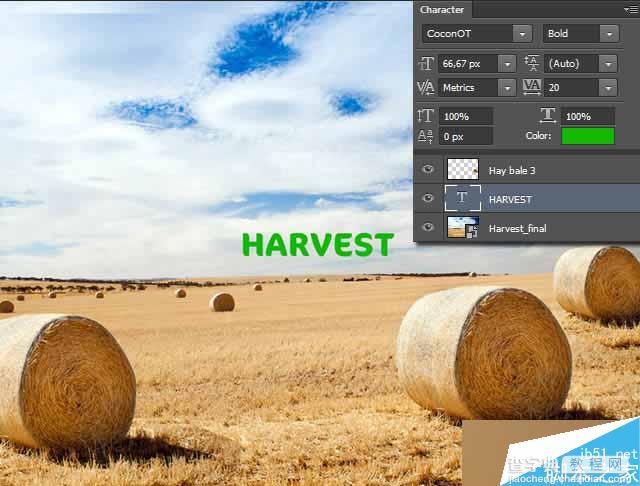 PS打造逼真的金灿灿的麦田草堆3D立体文字效果9