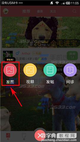 闻闻窝app怎么晒宠物宝贝照？3