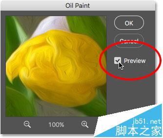 Photoshop CC油画滤镜实例教程讲解12