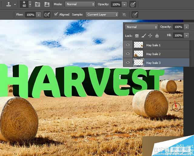 PS打造逼真的金灿灿的麦田草堆3D立体文字效果25