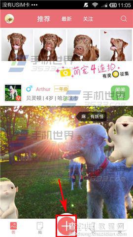 闻闻窝app怎么晒宠物宝贝照？2
