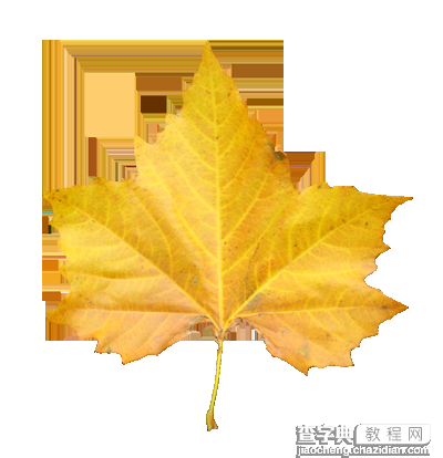 Photoshop设计制作非常有趣的秋季树叶字9